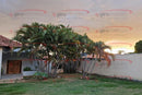 CASA COM LAZER COMPLETO NO GUARÁ PARK